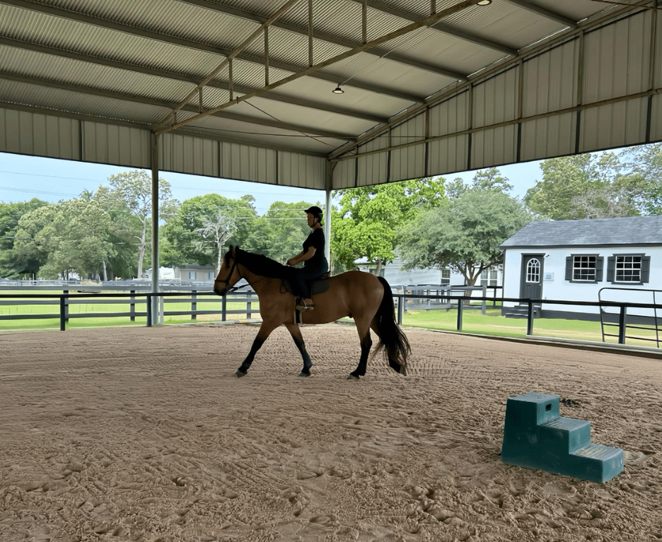 Magnolia Meadows Ranch Riding Programs