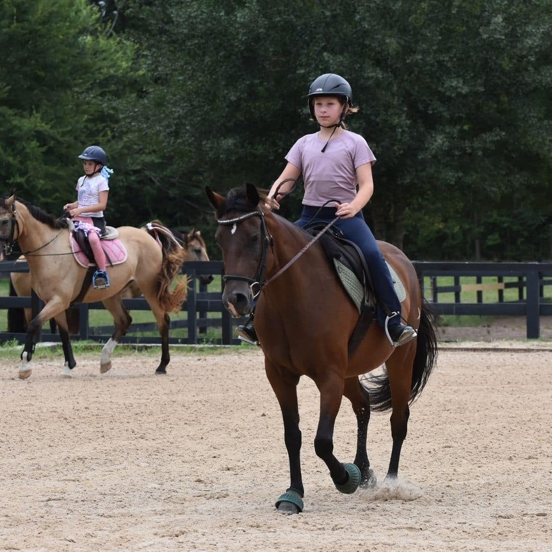 beginners english riding - magnolia meadows
