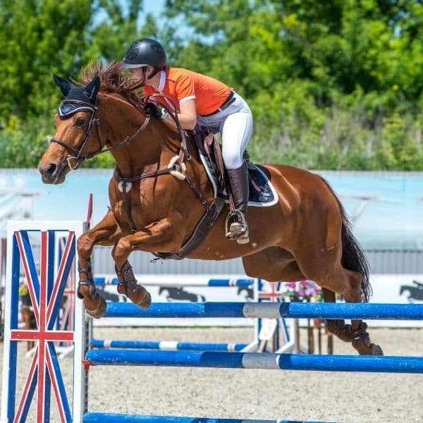 english riding jumping