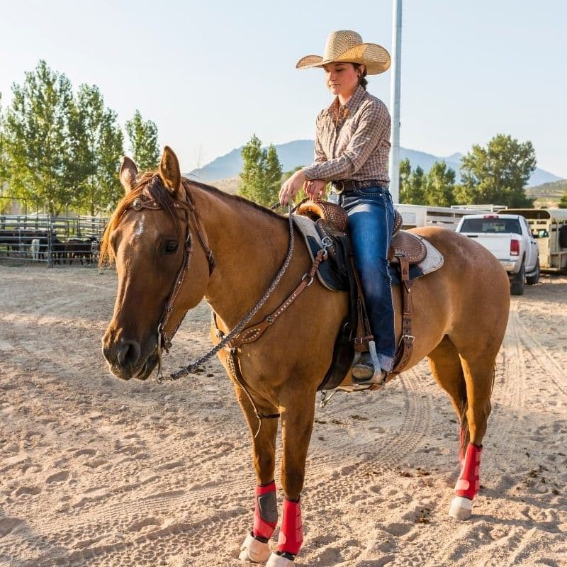 intermediate western riding magnolia meadows