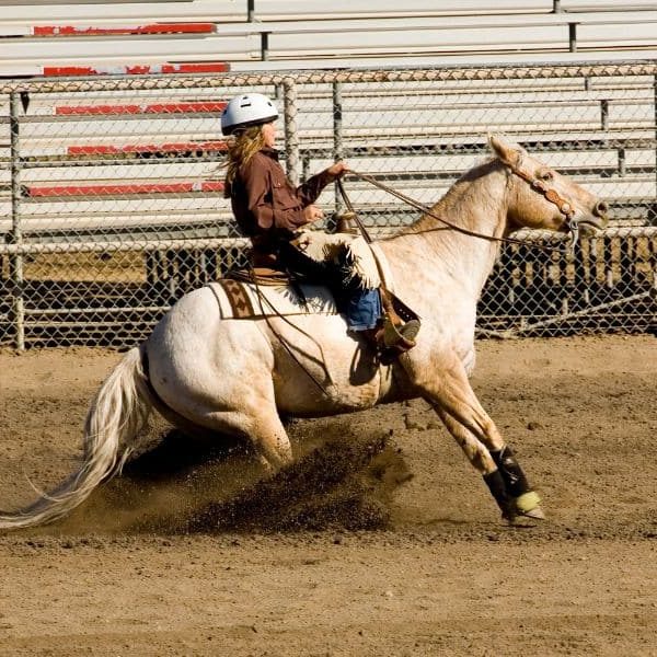 western riding reining